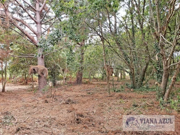 Terreno para Venda em Carreço