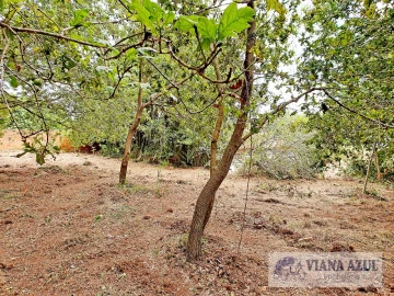 Terreno para Venda em Carreço