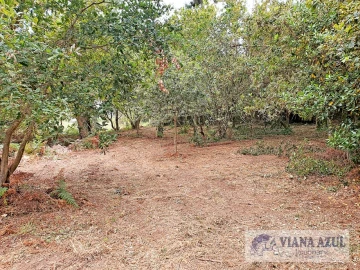 Terreno para Venda em Carreço