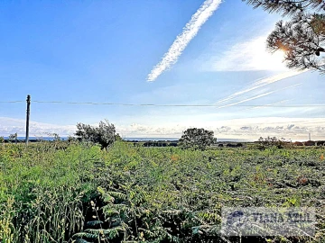Terreno para Venda em Carreço