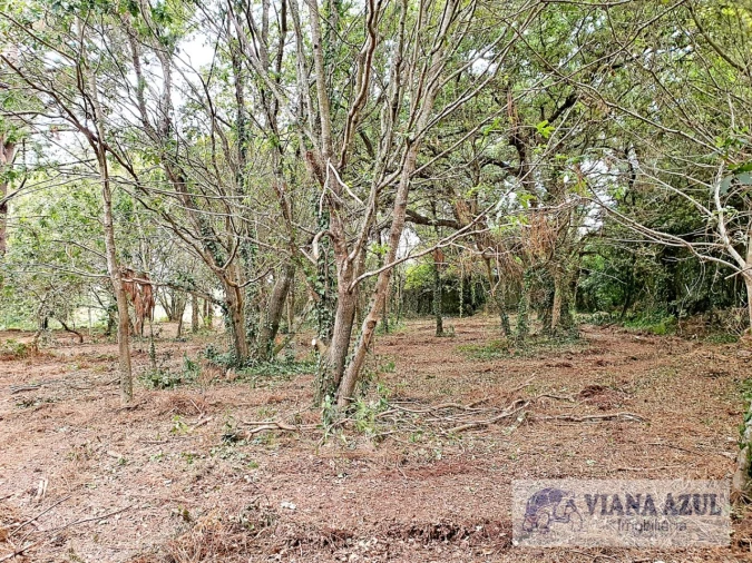 Terreno para Venda em Carreço Foto 4