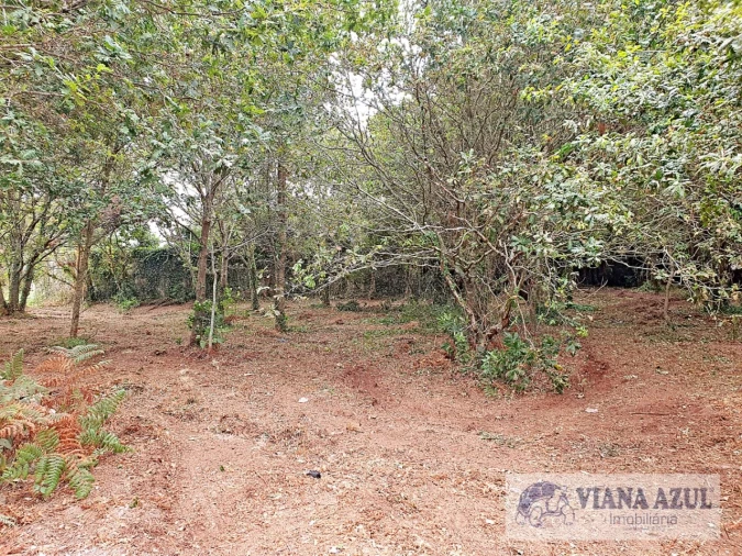 Terreno para Venda em Carreço Foto 8