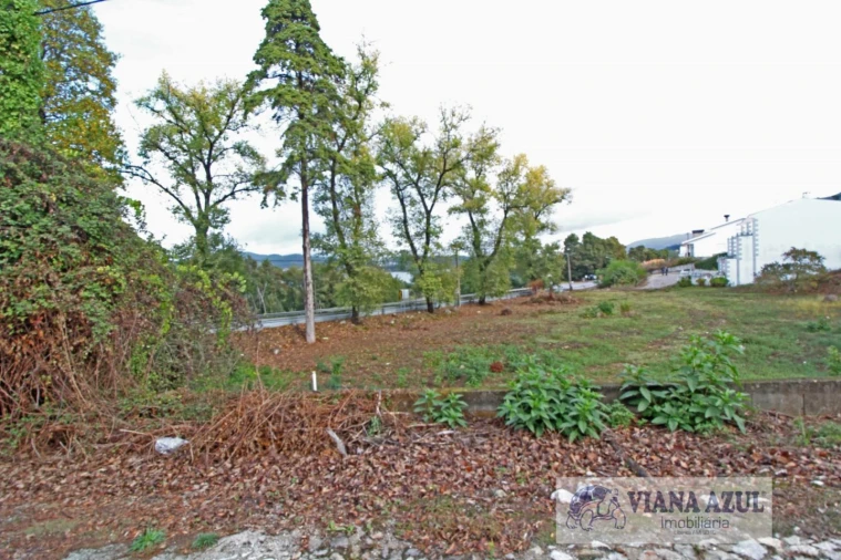 Terreno para Venda em Seixas Foto 5