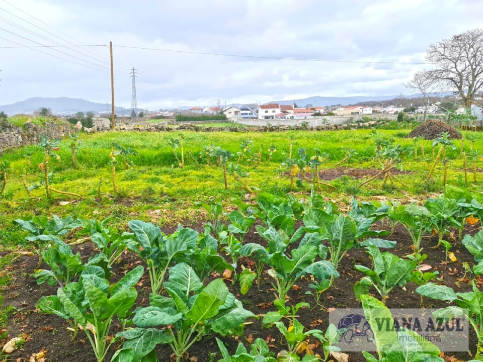 Terreno para Venda em Santa Maria Maior e Monserrate e Meadela Foto 9