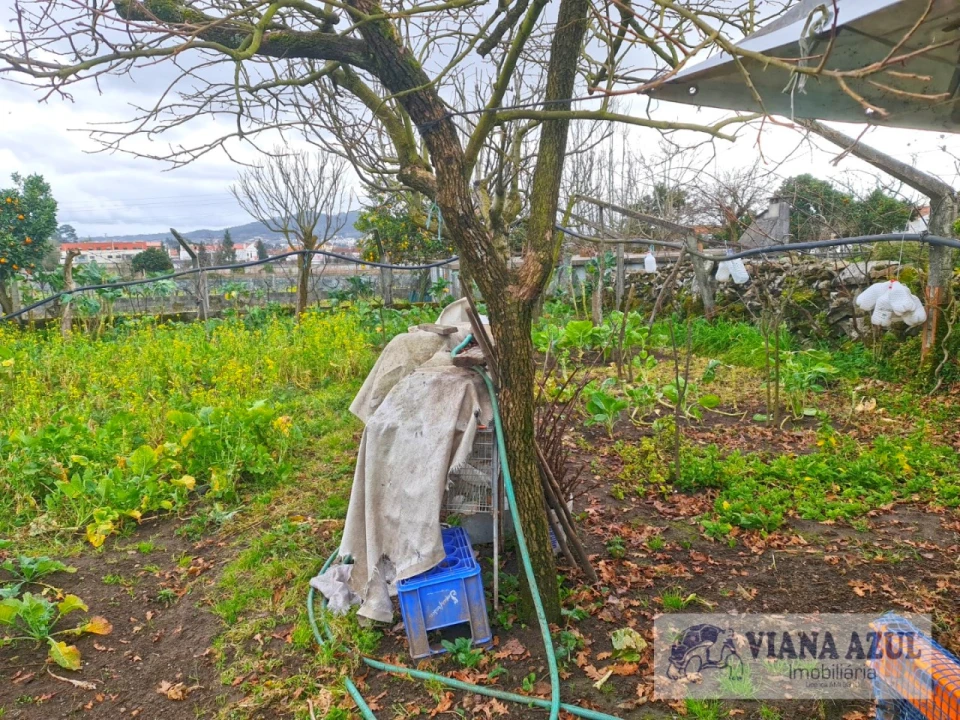 Terreno para Venda em Santa Maria Maior e Monserrate e Meadela Foto 11