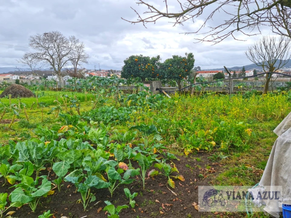 Terreno para Venda em Santa Maria Maior e Monserrate e Meadela Foto 12