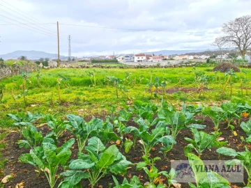 Terreno para Venda em Santa Maria Maior e Monserrate e Meadela
