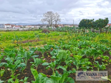 Terreno para Venda em Santa Maria Maior e Monserrate e Meadela