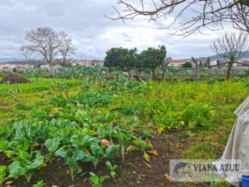 Terreno para Venda em Santa Maria Maior e Monserrate e Meadela