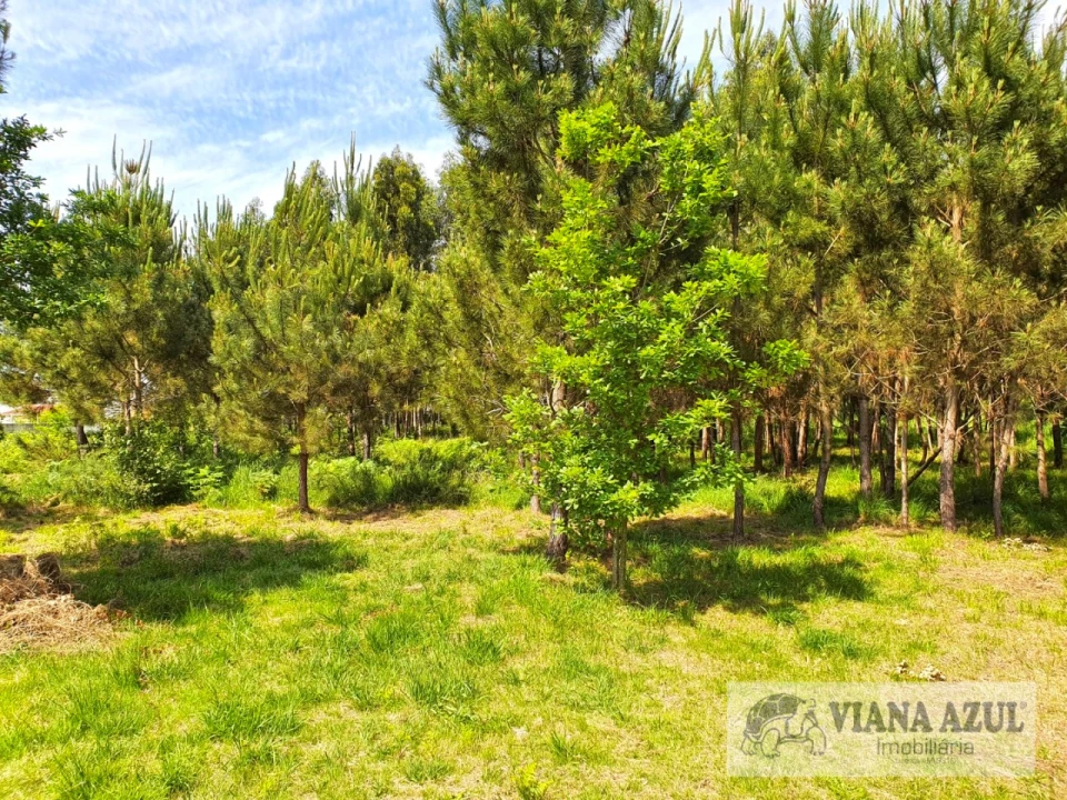 Terreno para Venda em Cardielos e Serreleis Foto 4