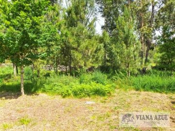 Terreno para Venda em Cardielos e Serreleis