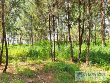 Terreno para Venda em Cardielos e Serreleis