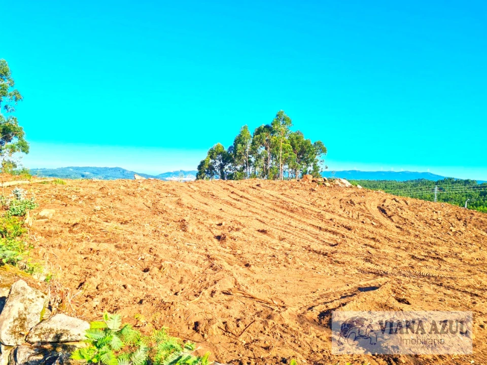 Terreno para Venda em Vila de Punhe Foto 1