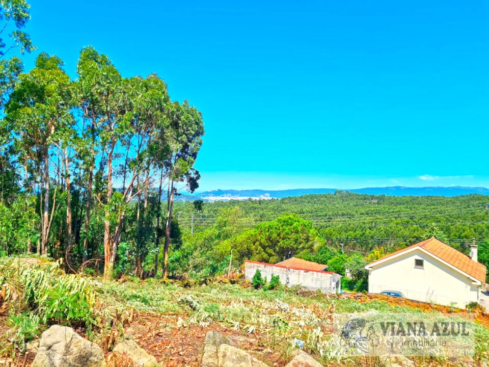 Terreno para Venda em Vila de Punhe Foto 4