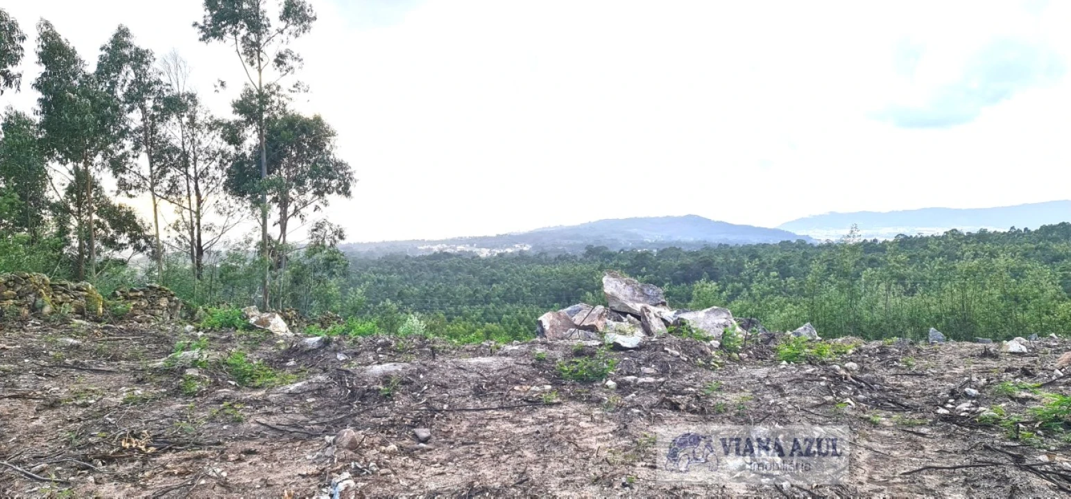 Terreno para Venda em Vila de Punhe Foto 5