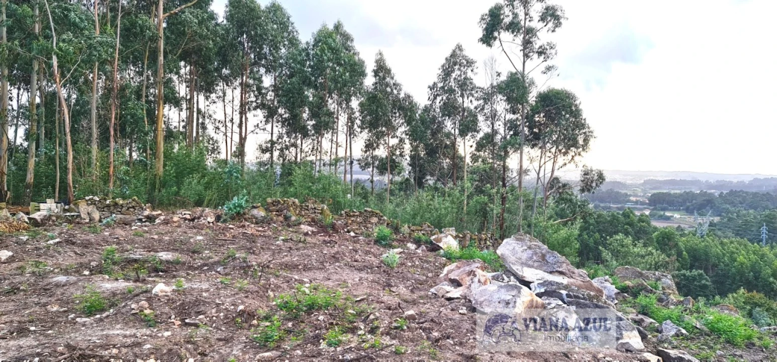 Terreno para Venda em Vila de Punhe Foto 9