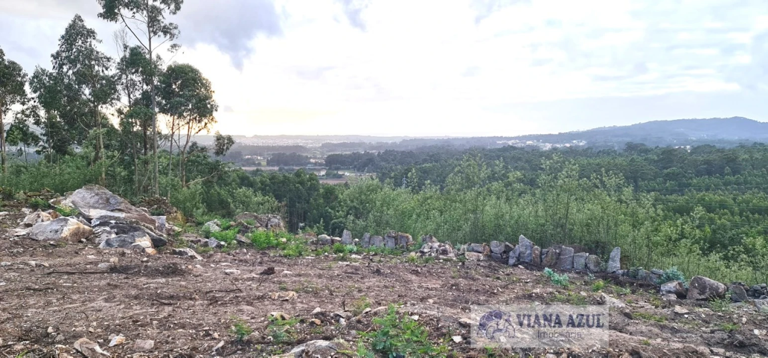Terreno para Venda em Vila de Punhe Foto 13