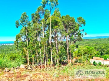 Terreno para Venda em Vila de Punhe