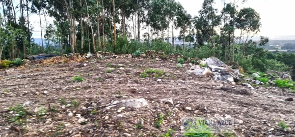 Terreno para Venda em Vila de Punhe