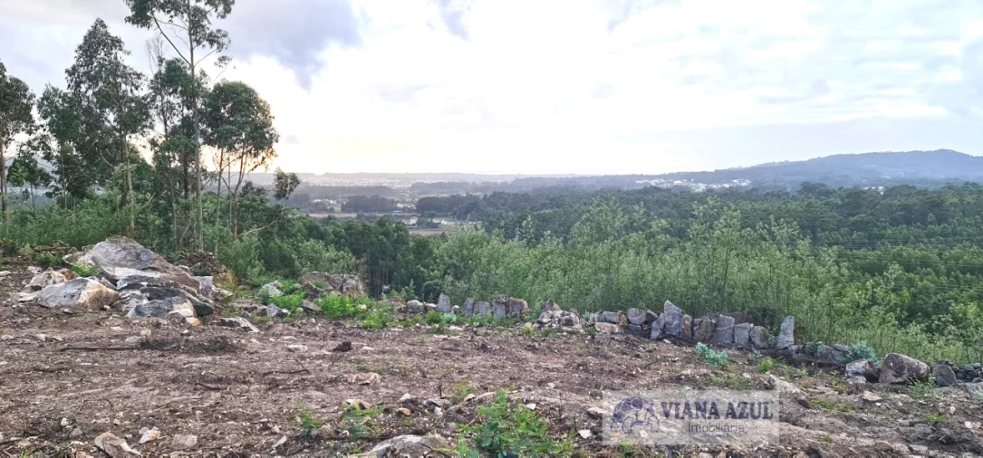 Terreno para Venda em Vila de Punhe Foto 13