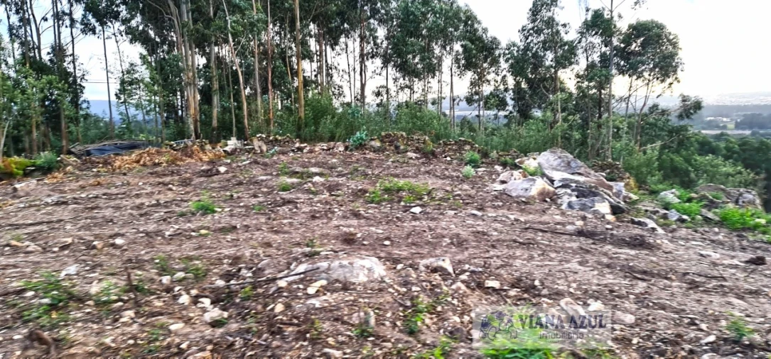 Terreno para Venda em Vila de Punhe Foto 14