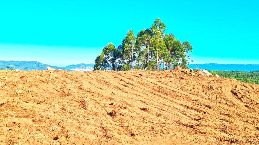 Terreno para Venda em Vila de Punhe