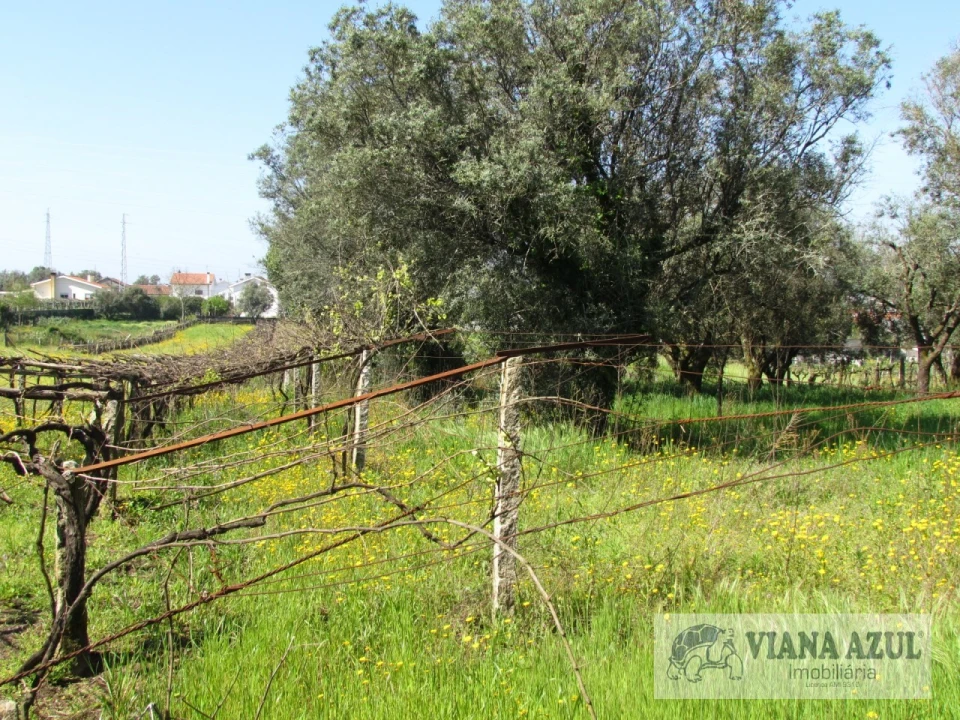 Terreno para Venda em Santa Marta de Portuzelo Foto 2