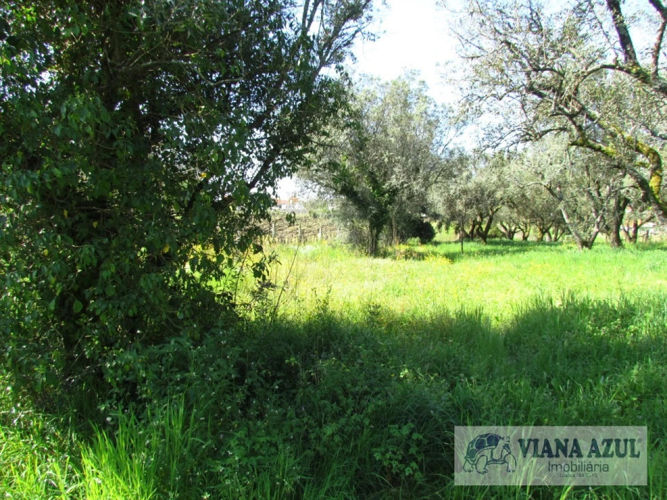 Terreno para Venda em Santa Marta de Portuzelo Foto 3