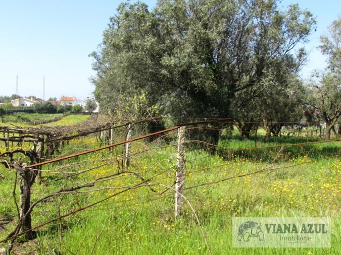 Terreno para Venda em Santa Marta de Portuzelo Foto 2
