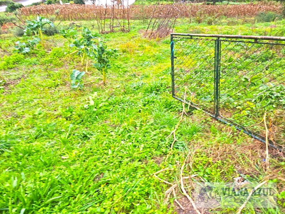 Terreno para Venda em Freixieiro de Soutelo Foto 10