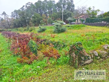 Terreno para Venda em Freixieiro de Soutelo