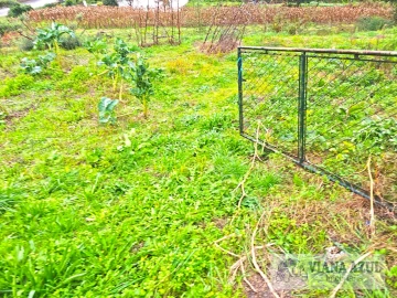 Terreno para Venda em Freixieiro de Soutelo