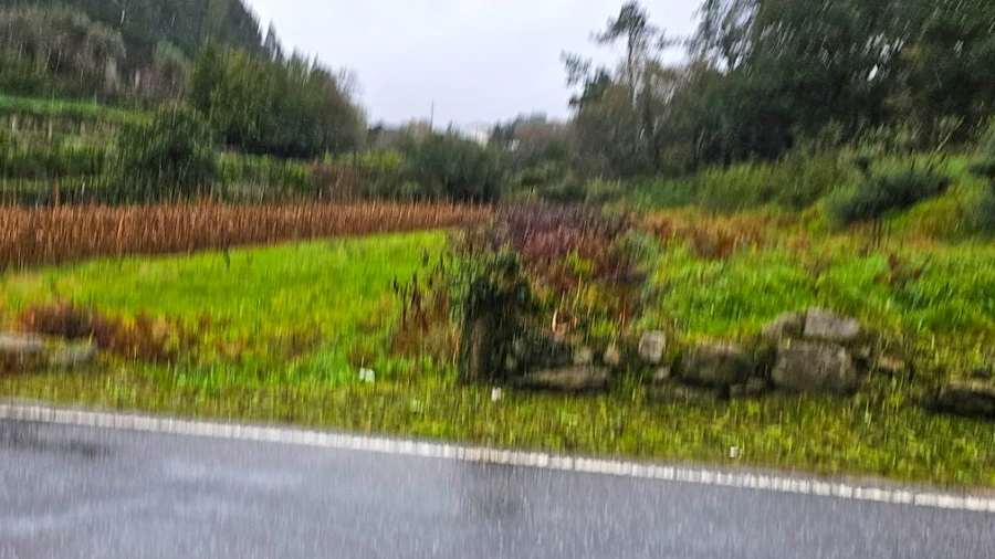 Terreno para Venda em Freixieiro de Soutelo