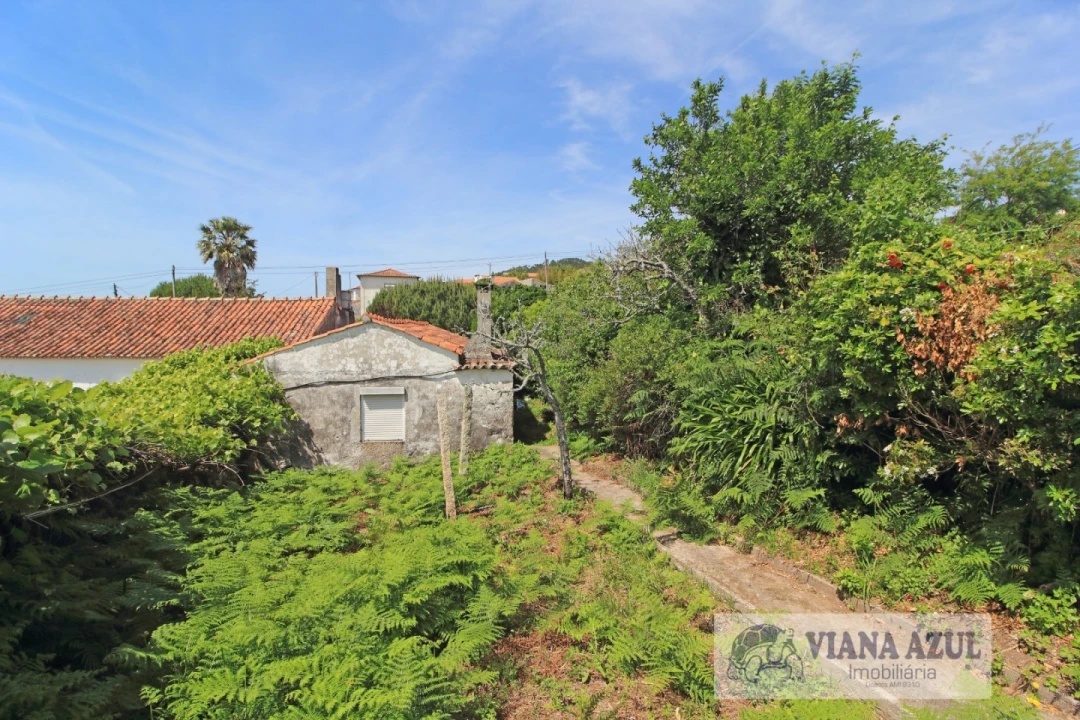 Terreno para Venda em Areosa Foto 3