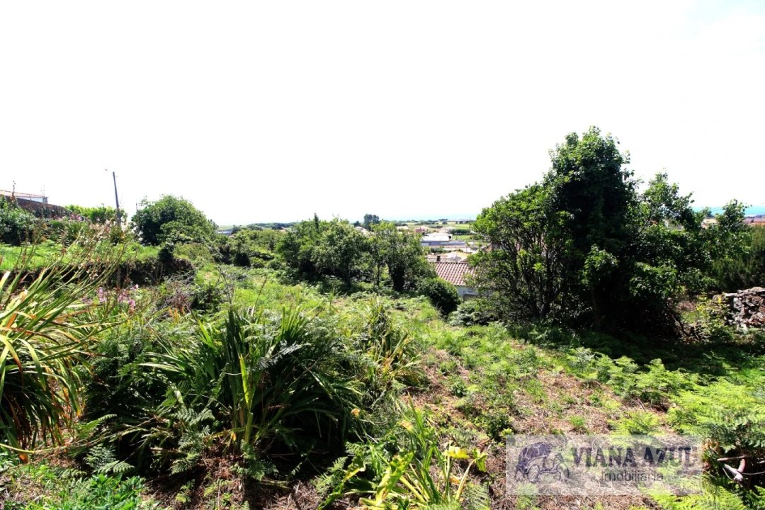 Terreno para Venda em Areosa Foto 8