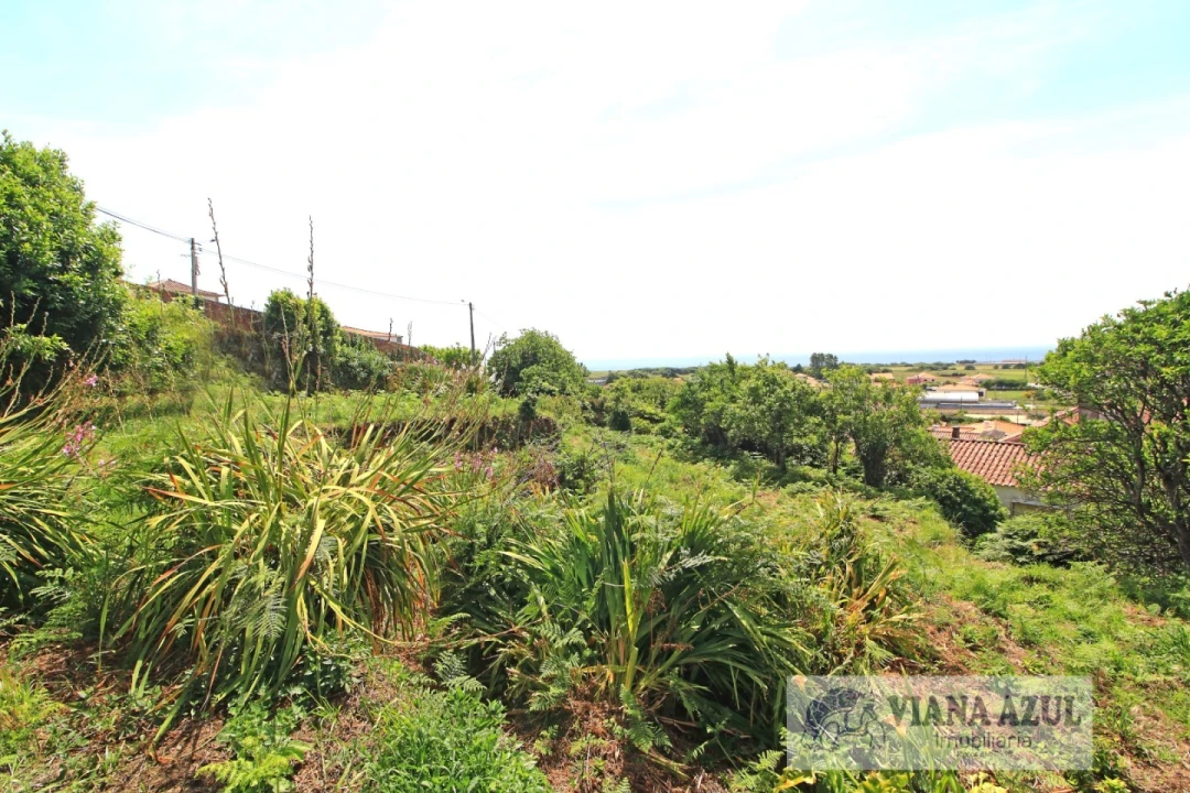 Terreno para Venda em Areosa Foto 9