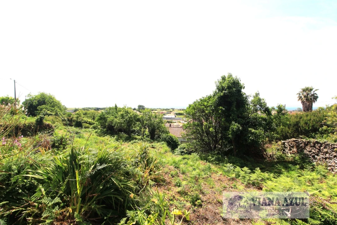 Terreno para Venda em Areosa Foto 10