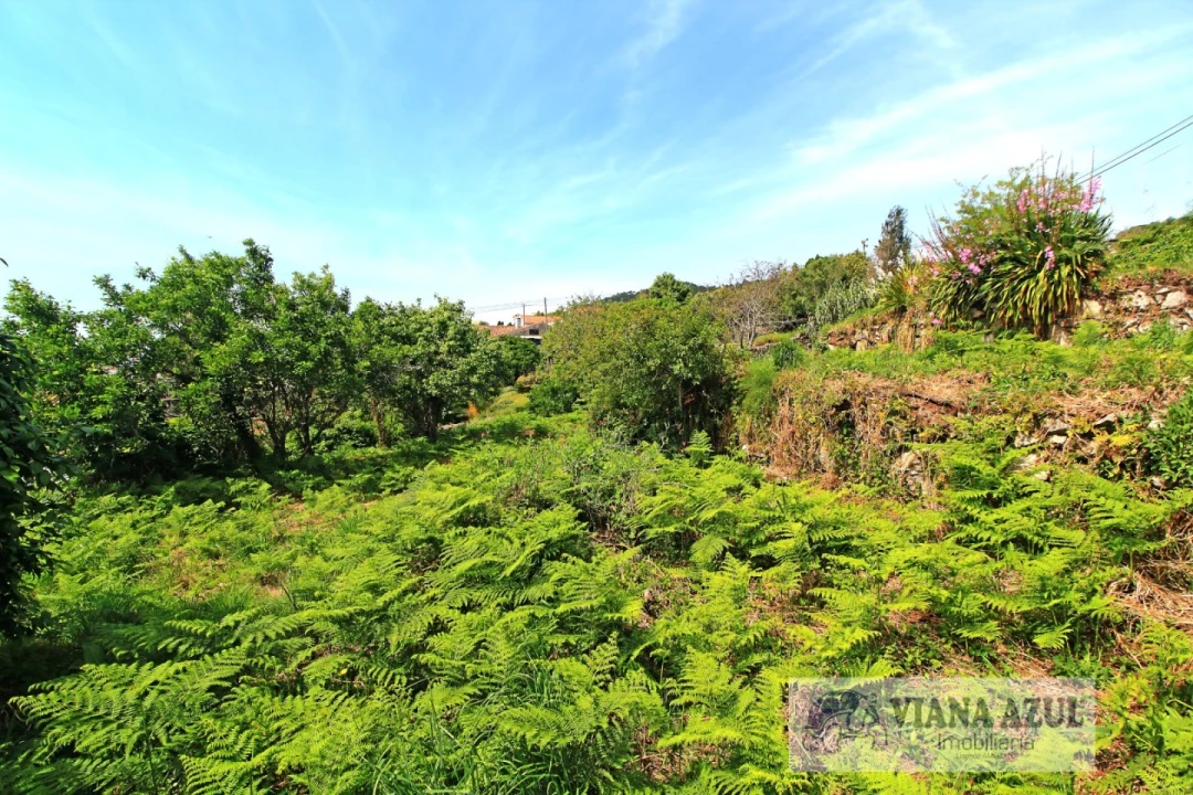 Terreno para Venda em Areosa Foto 11