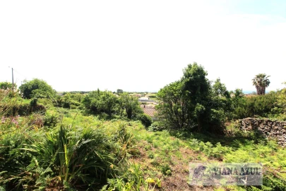 Terreno para Venda em Areosa