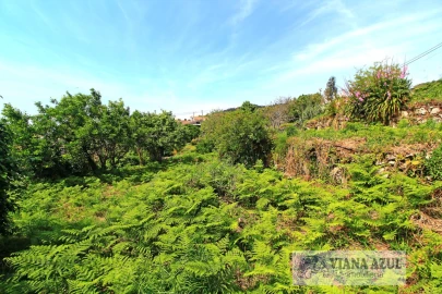 Terreno para Venda em Areosa