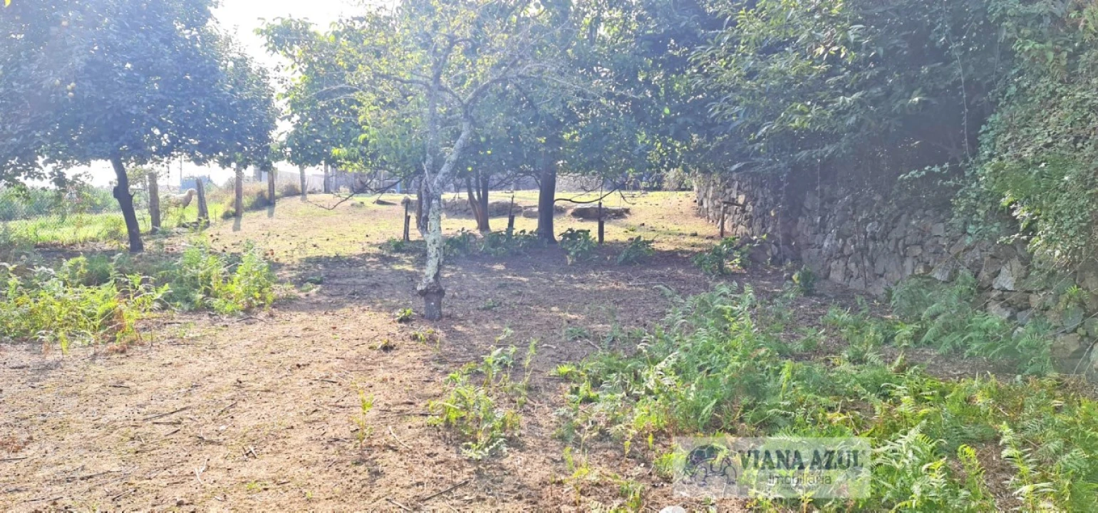 Terreno para Venda em Santa Maria Maior e Monserrate e Meadela Foto 4
