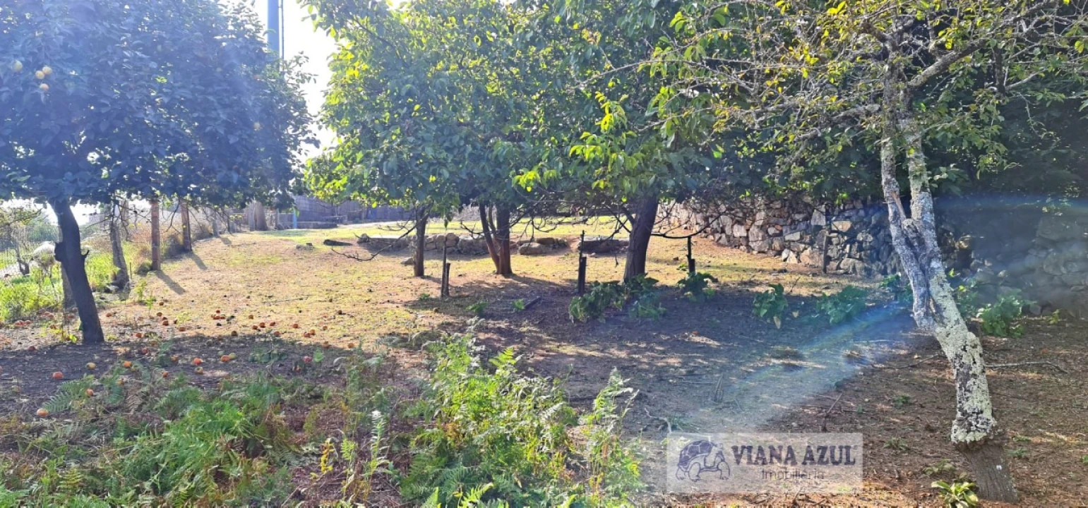 Terreno para Venda em Santa Maria Maior e Monserrate e Meadela Foto 10