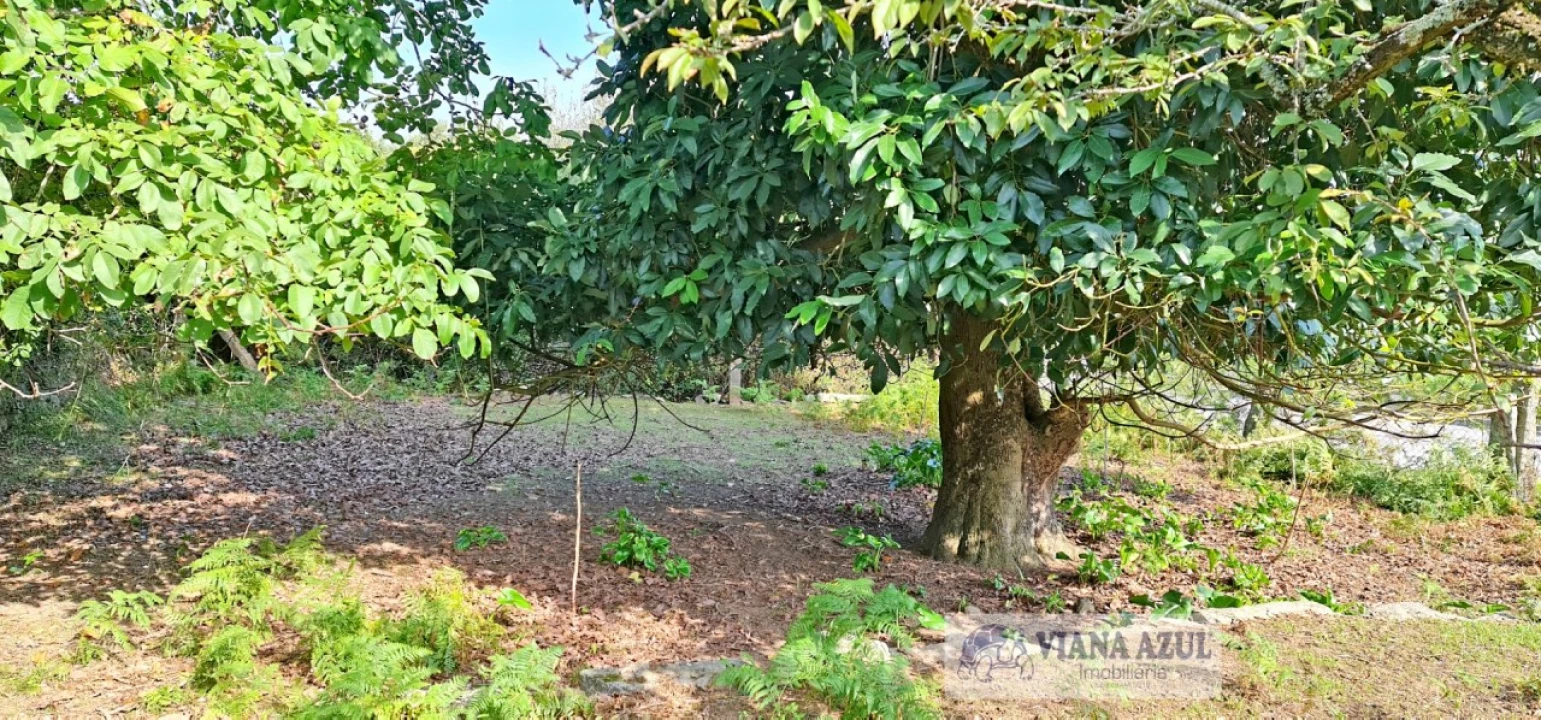 Terreno para Venda em Santa Maria Maior e Monserrate e Meadela Foto 11