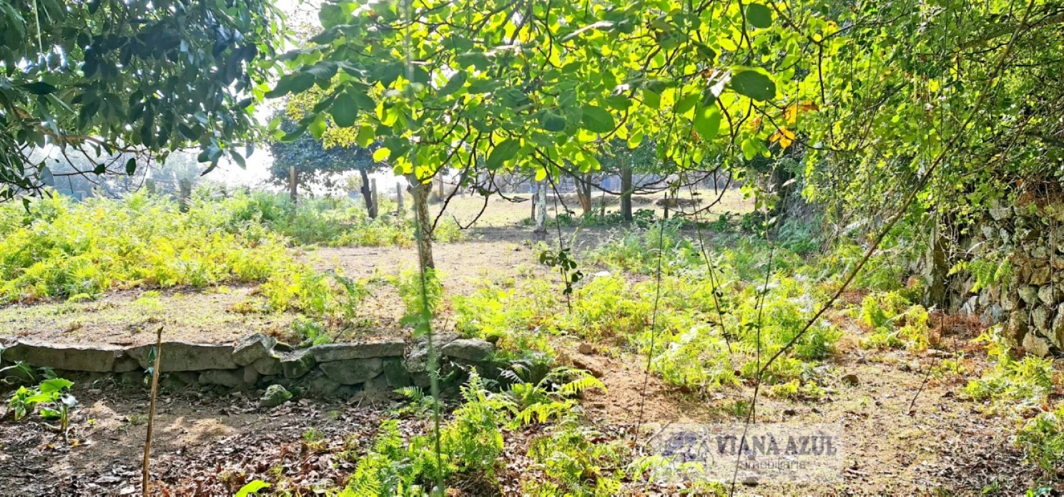 Terreno para Venda em Santa Maria Maior e Monserrate e Meadela Foto 12