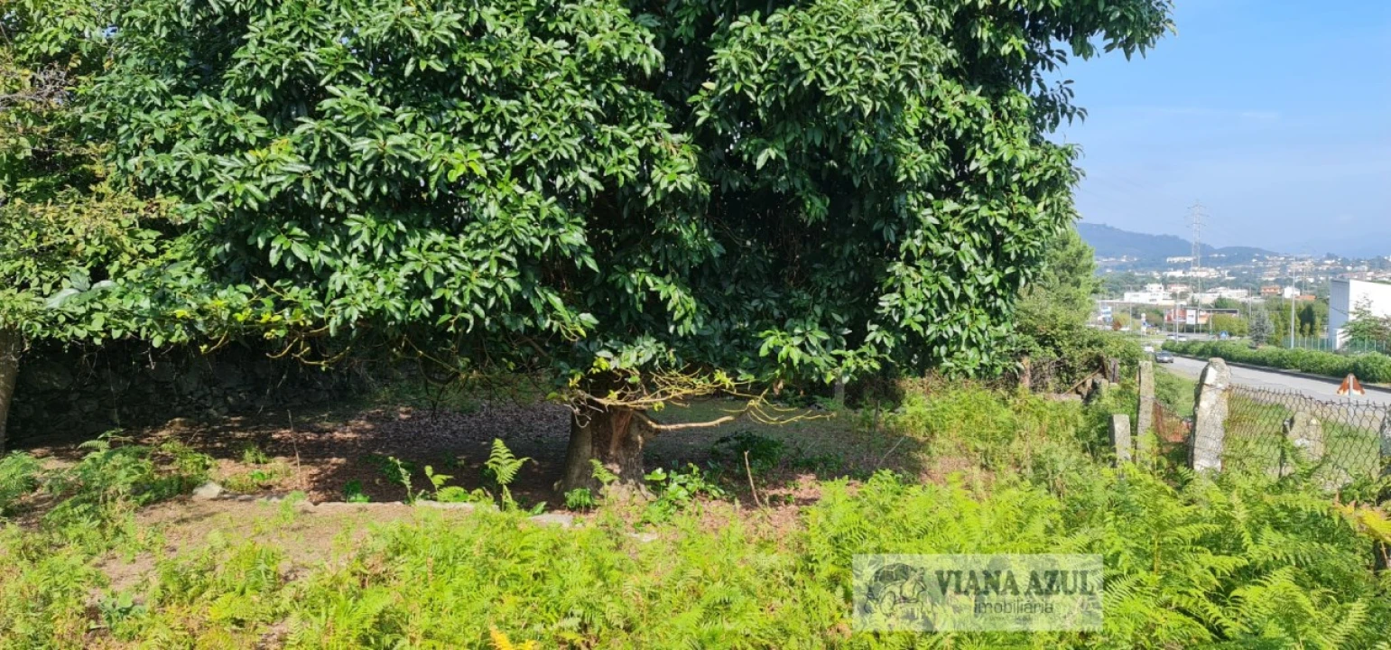 Terreno para Venda em Santa Maria Maior e Monserrate e Meadela Foto 13