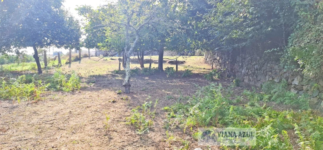 Terreno para Venda em Santa Maria Maior e Monserrate e Meadela Foto 4