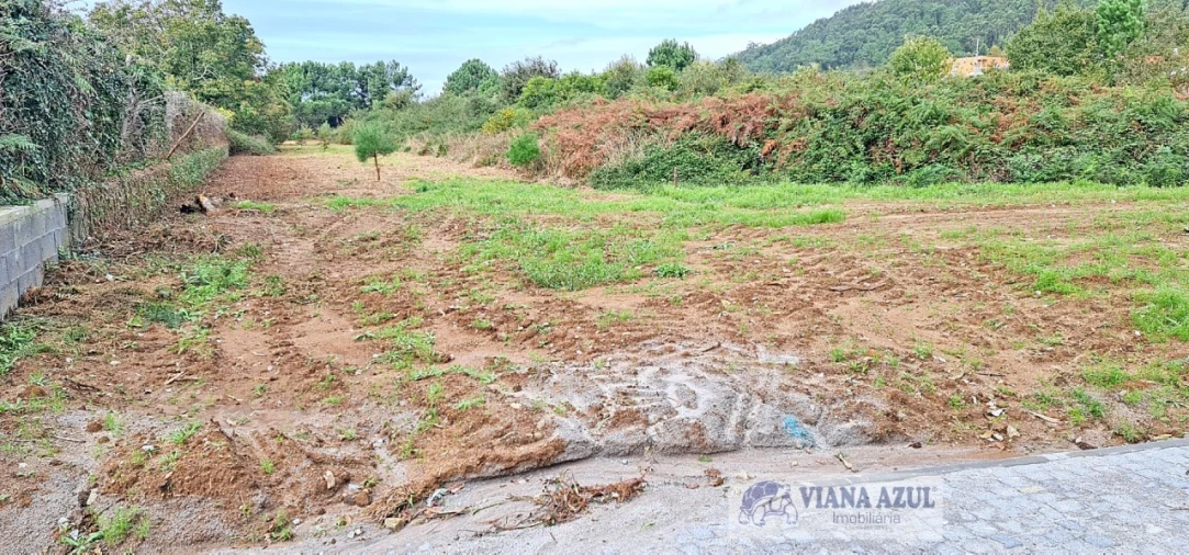 Terreno para Venda em Carreço Foto 5