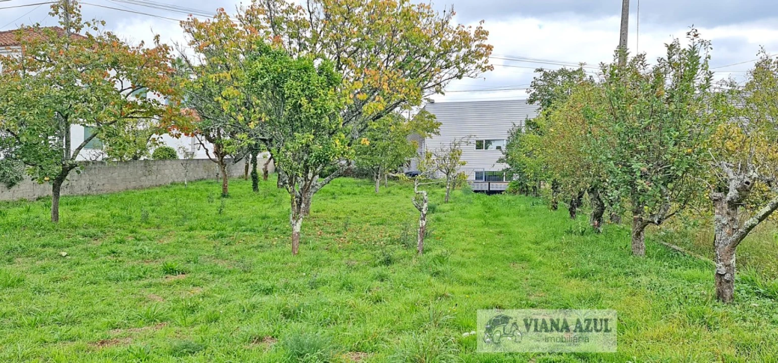 Terreno para Venda em Mujães Foto 3