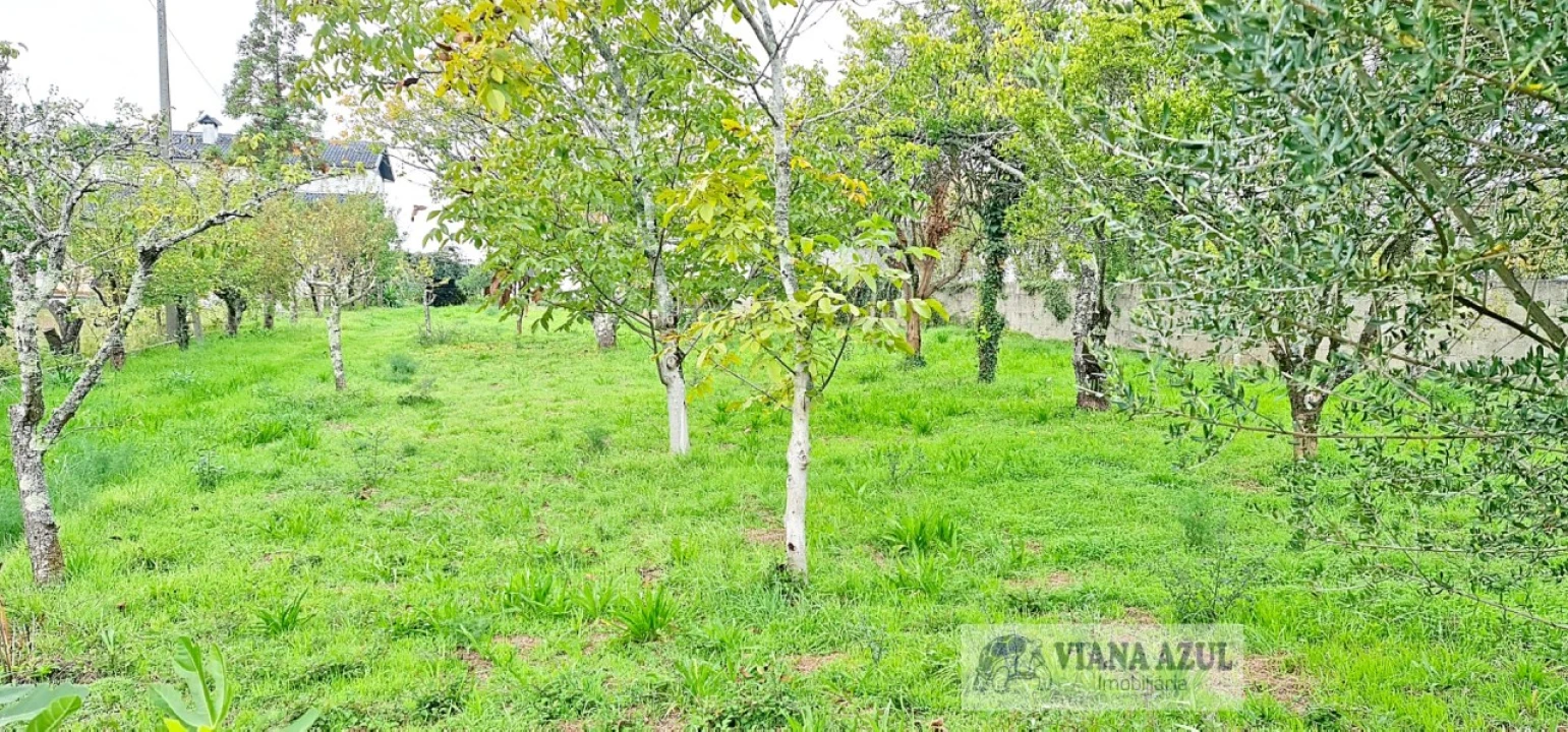 Terreno para Venda em Mujães Foto 5