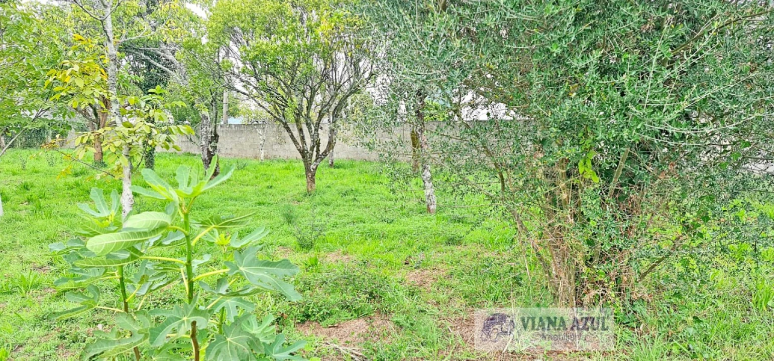 Terreno para Venda em Mujães Foto 7